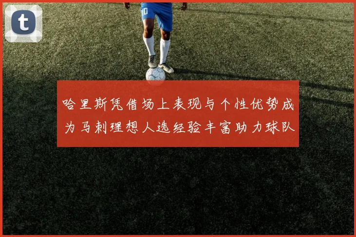 哈里斯凭借场上表现与个性优势成为马刺理想人选经验丰富助力球队发展